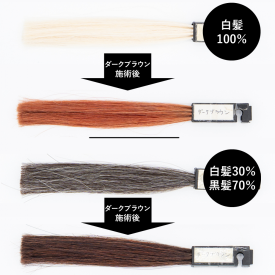 送料無料 エコヴェーダ オーガニックハーバルヘアカラー ダークブラウン（箱パッケージ）100%植物性 フェアトレード認定品 ヘアトリートメント 白髪染め 【正規販売店】