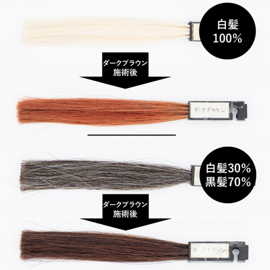 送料無料 エコヴェーダ オーガニックハーバルヘアカラー ダークブラウン（箱パッケージ）100%植物性 フェアトレード認定品 ヘアトリートメント 白髪染め 【正規販売店】