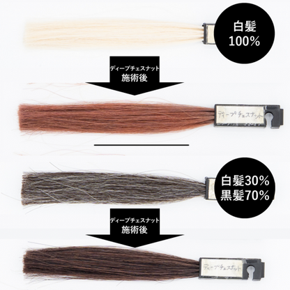 送料無料 エコヴェーダ オーガニックハーバルヘアカラー ディープチェスナット（箱パッケージ）100%植物性 フェアトレード認定品 ヘアトリートメント 白髪染め 【正規販売店】