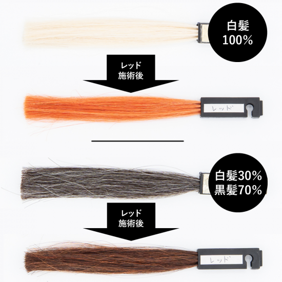 送料無料 エコヴェーダ オーガニックハーバルヘアカラー レッド（箱パッケージ）100%植物性 フェアトレード認定品 ヘアトリートメント 白髪染め 【正規販売店】
