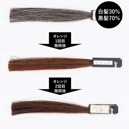 送料無料 エコヴェーダ オーガニックハーバルヘアカラー オレンジ（箱パッケージ）100%植物性ヘナ フェアトレード認定品 ヘアトリートメント 白髪染め 【正規販売店】