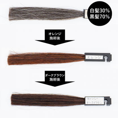 送料無料 エコヴェーダ オーガニックハーバルヘアカラー オレンジ（箱パッケージ）100%植物性ヘナ フェアトレード認定品 ヘアトリートメント 白髪染め 【正規販売店】
