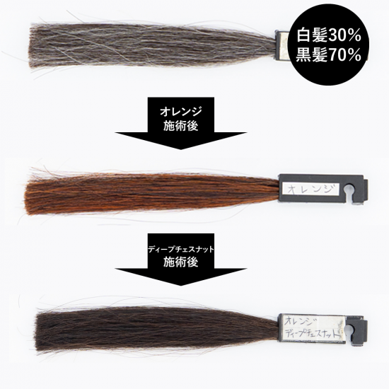 送料無料 エコヴェーダ オーガニックハーバルヘアカラー オレンジ（箱パッケージ）100%植物性ヘナ フェアトレード認定品 ヘアトリートメント 白髪染め 【正規販売店】