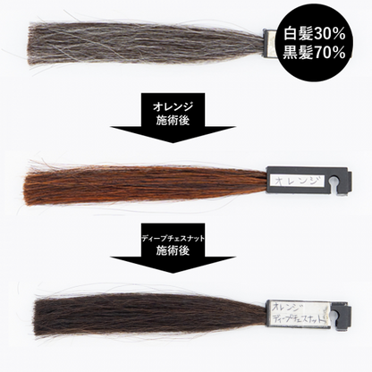 送料無料 エコヴェーダ オーガニックハーバルヘアカラー オレンジ（箱パッケージ）100%植物性ヘナ フェアトレード認定品 ヘアトリートメント 白髪染め 【正規販売店】